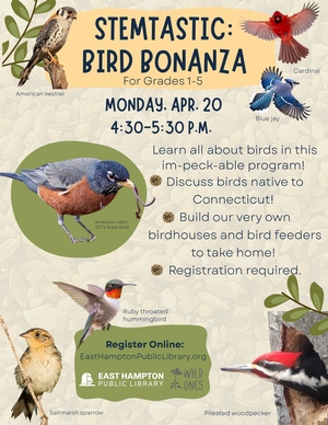 STEMtastic: Bird Bon